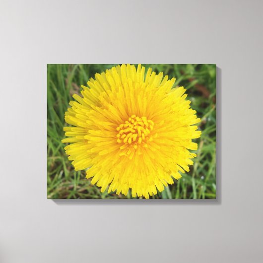 Gele lauw canvas afdrukken (Voorkant)