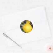 Gele leemons ronde sticker (Envelop)