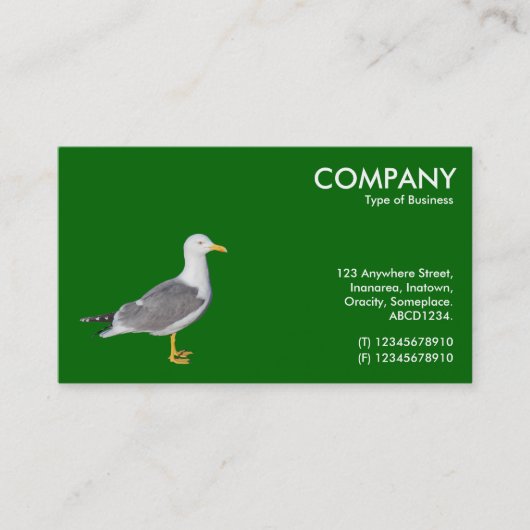 Gele leggermeeuw - Groen 006600 Visitekaartje (Voorkant)