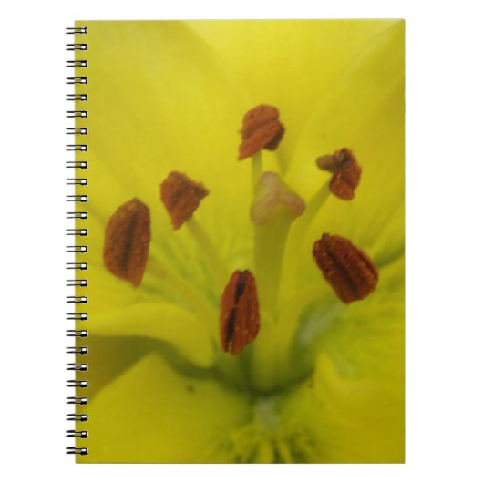 Gele Lelie Bloem Notebook Notitieboek (Voorkant)