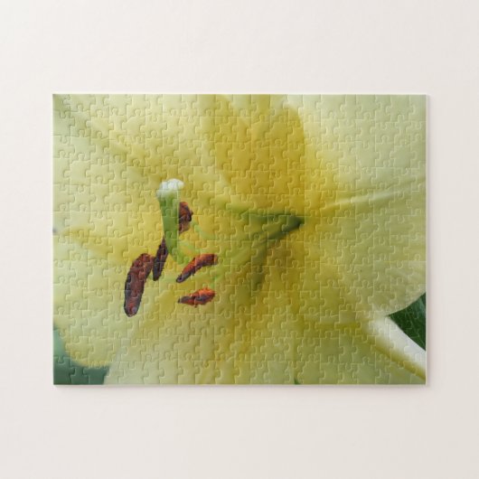 Gele leliebloem close-up legpuzzel (Horizontaal)
