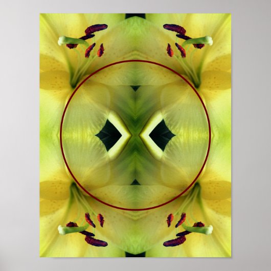 Gele leliebloem van dichtbij Maak je eigen foto  Poster (Voorkant)