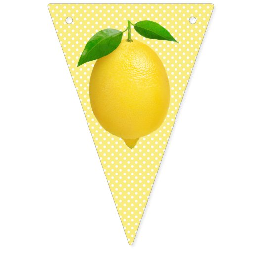 Gele Lemon Bunting Flags Vlaggetjes (Derde vlag)