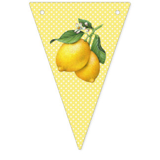 Gele Lemon Bunting Flags Vlaggetjes
