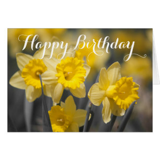 Gele lentbloemen | Daffodil-Wenskaart
