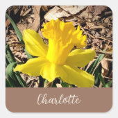 Gele lente-affodil in de Garden-aangepaste naam Vierkante Sticker (Voorkant)