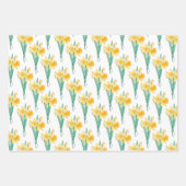 Gele Lente Daffodil Rustieke Bloemen Inpakpapier Vel (Voorkant 3)
