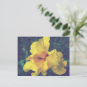 Gele lente iris bloemenfotografie briefkaart (Staand voorkant)