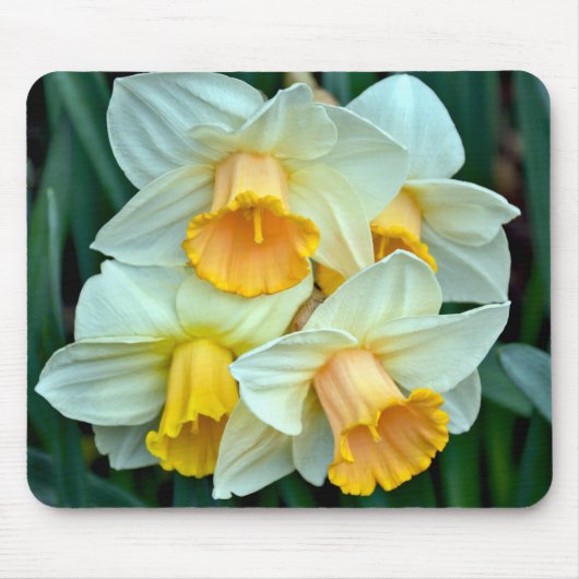 Gele lente narcissen muismat (Voorkant)