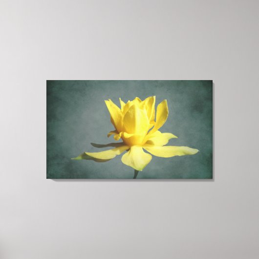 Gele lente Narcissus Canvas Print (Voorkant)