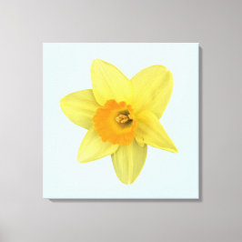 Gele Lentebloem Narcis Canvas Afdruk