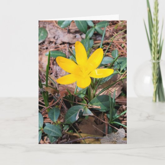 Gele Lentekrokus Denk aan Jou Kaart (Voorkant)