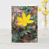Gele Lentekrokus Denk aan Jou Kaart (Gele Bloem)