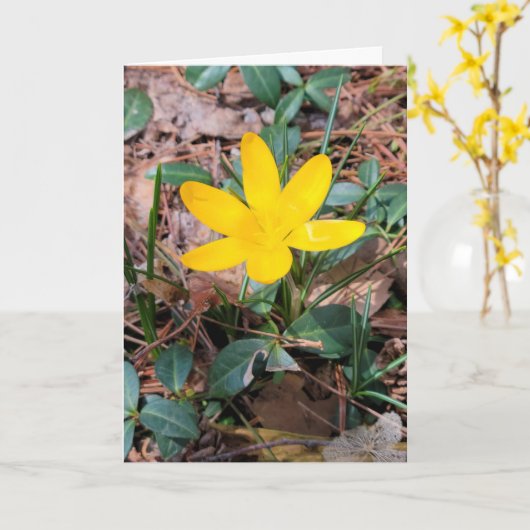 Gele Lentekrokus Denk aan Jou Kaart (Gele Bloem)