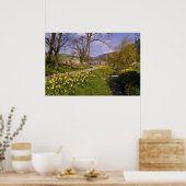 gele lentesaffodils, Borders, Peebles bloemen Poster (Keuken)
