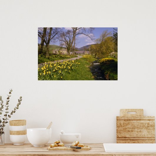 gele lentesaffodils, Borders, Peebles bloemen Poster (Keuken)