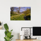 gele lentesaffodils, Borders, Peebles bloemen Poster (Thuiskantoor)