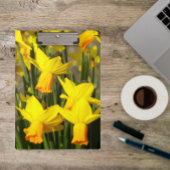 Gele lentesaffodils Floral Klembord