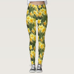 Gele lentesaffodils leggings<br><div class="desc">Deze leggings zijn voorzien van een mooie foto van gele lentedafodils in vol bloei.  Perfecte aanvulling op je lentestwardrobe! Ontworpen door een wereldberoemde kunstenaar ©Tim Coffey.</div>