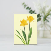 Gele lentesaffodils - Sjabloon van Daffodil Briefkaart (Staand voorkant)