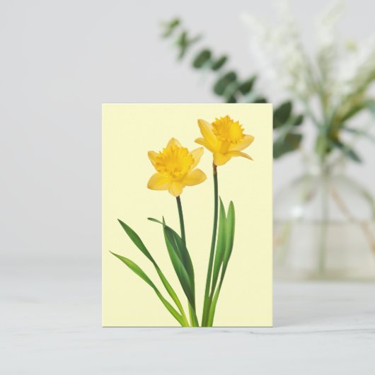 Gele lentesaffodils - Sjabloon van Daffodil Briefkaart (Staand voorkant)