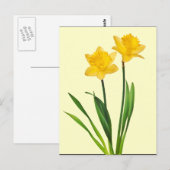 Gele lentesaffodils - Sjabloon van Daffodil Briefkaart (Voorkant / Achterkant)