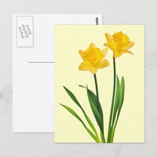 Gele lentesaffodils - Sjabloon van Daffodil Briefkaart (Voorkant / Achterkant)