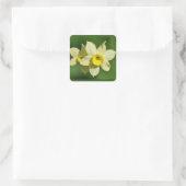 Gele lentesaffodils vierkante sticker (Tas)