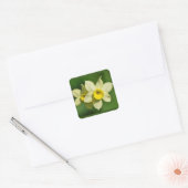 Gele lentesaffodils vierkante sticker (Envelop)