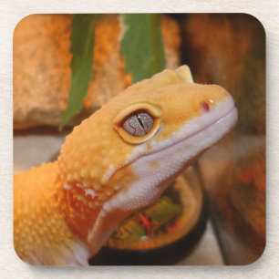 Gele leopard Gecko Bier Onderzetter