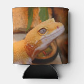 Gele leopard Gecko Blikjeskoeler (Achterkant)