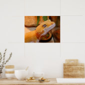 Gele leopard Gecko Lizard Poster (Keuken)