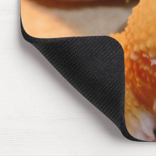 Gele leopard Gecko Muismat (Hoek)