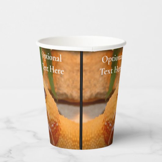 Gele leopard Gecko Papieren Bekers (Rechts)