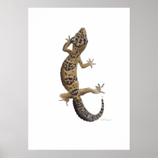 Gele leopargekko poster
