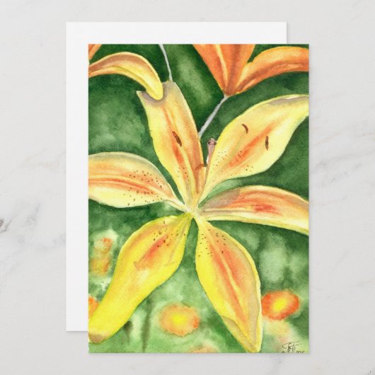 Gele leugens in de tuin (Voorkant / Achterkant)