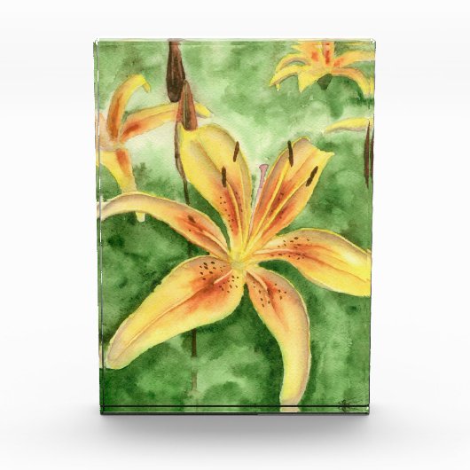 Gele leugens in de tuin fotoblokken (Voorkant)