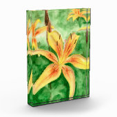 Gele leugens in de tuin fotoblokken (Links)