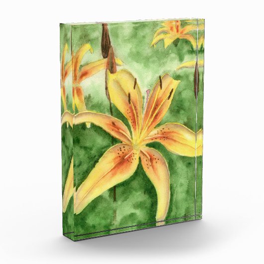 Gele leugens in de tuin fotoblokken (Links)