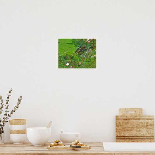 Gele Libelle Poster (Keuken)