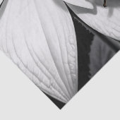 Gele lieveheersbeestje op zwarte witte bloem tissuepapier (Detail)