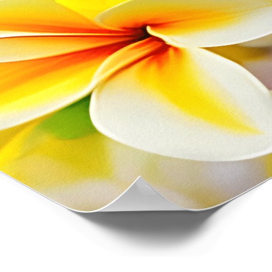 gele lila bloemen poster (Hoek)