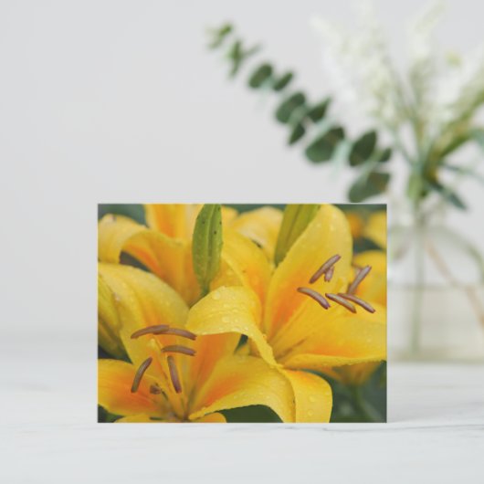 Gele lillie briefkaart (Staand voorkant)