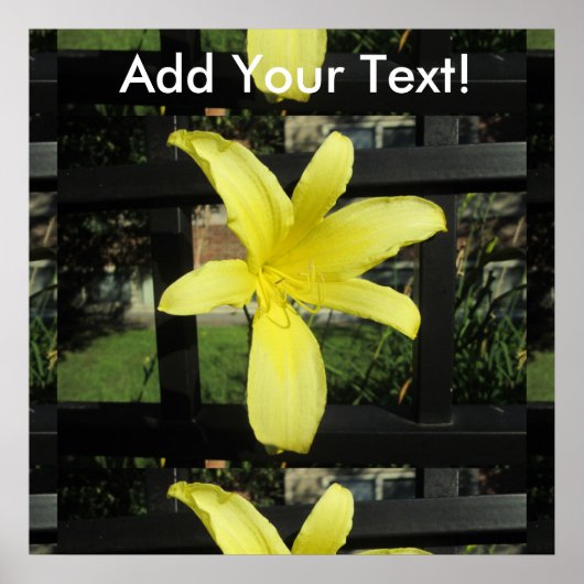 gele Lily Flower Poster (Voorkant)