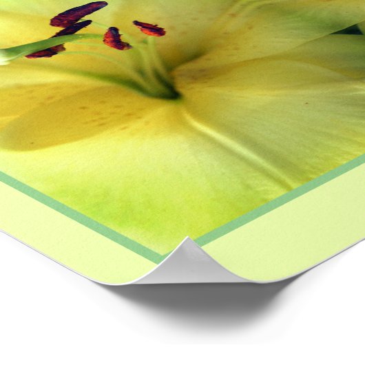 Gele Lily Flower Up Close Abstract Poster (Hoek)
