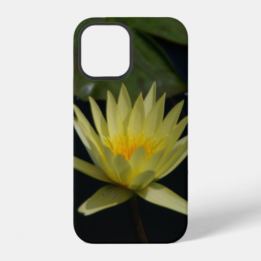 Gele Lotus Waterlelie iPhone Hoesje (Achterkant)