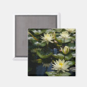 Gele Lotus Waterlilies Magnet (Voorkant / Achterkant)