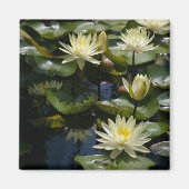 Gele Lotus Waterlilies Magnet (Voorkant)
