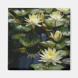 Gele Lotus Waterlilies Magnet