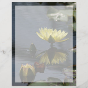 Gele Lotus Waterlily Flower